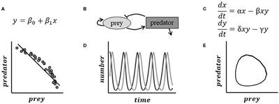 Overcoming the Challenges to Enhancing Experimental Plant Biology With Computational Modeling